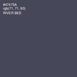 #47475A - River Bed Color Image